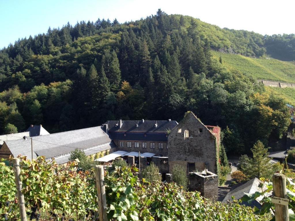 Ferienwohnung Landskroner Blick Bad Neuenahr-Ahrweiler Extérieur photo